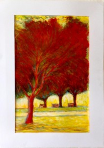 0021-Carmelo-compare-alberi Rossi Cm 50x 70 Gessetti A Olio E Smalto Graffiato Su Cartoncino Bristol 