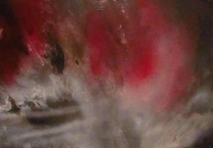 0034 - Lelia - Verona-pittura-spray-pigmenti su forex-100x70 