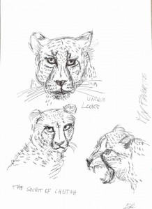 0037-Enrica-badas-my Cheetah - Penna Biro Su Carta- 29,7x42 