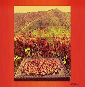 0048-monica-celona-Autunno-fotografiadigitale-stampasucarta-50x60 