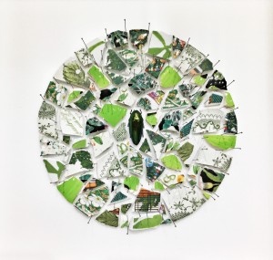 Pitt0010-Alice-padovani-fracture Green - 2018 - Assemblaggio In Teca Entomologica-frammenti Di Ceramiche, Spilli E Un Coleottero - 35x35x5 Cm-0010  