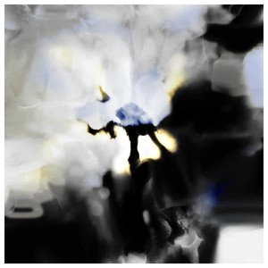 gr23-02-andrea-benatti-FLEUR BLUE-Stampa fine art su carta Hanhemüle-60X60