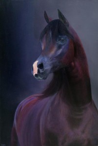 op111-michi grassi Elegance olio su tela di lino 120x80 cm