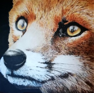 op150-tiziana sanna Vulpes Vulpes Ichnusae Volpe Sarda Olio su tela 100 cm x 100 cm                