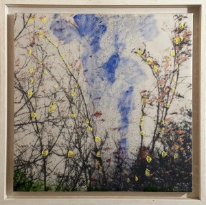 pr23-06-andrea-benatti-SUI RAMI-tecnica mista-60x60